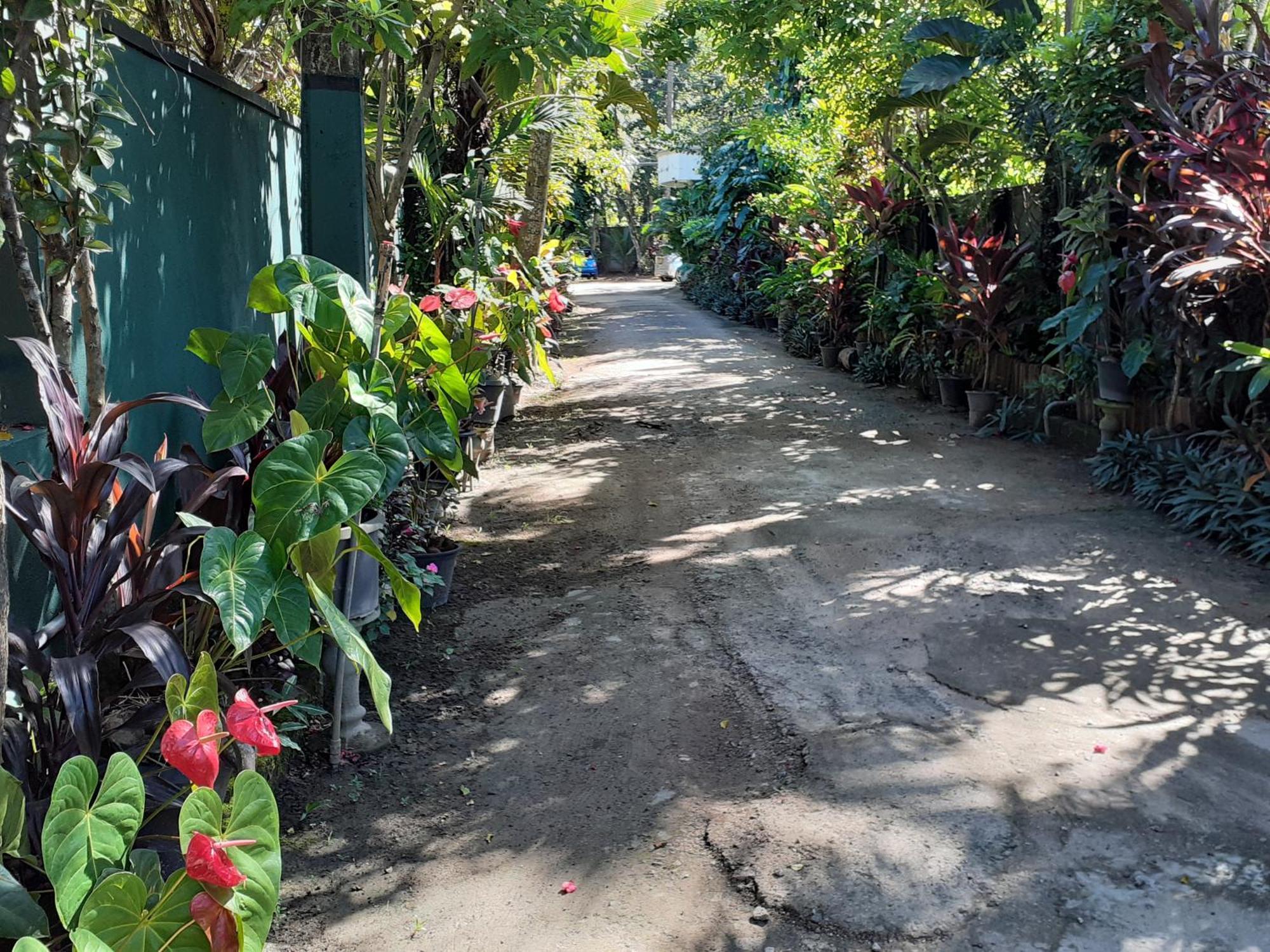 Nooit Gedacht Holiday Resort Unawatuna Eksteriør billede