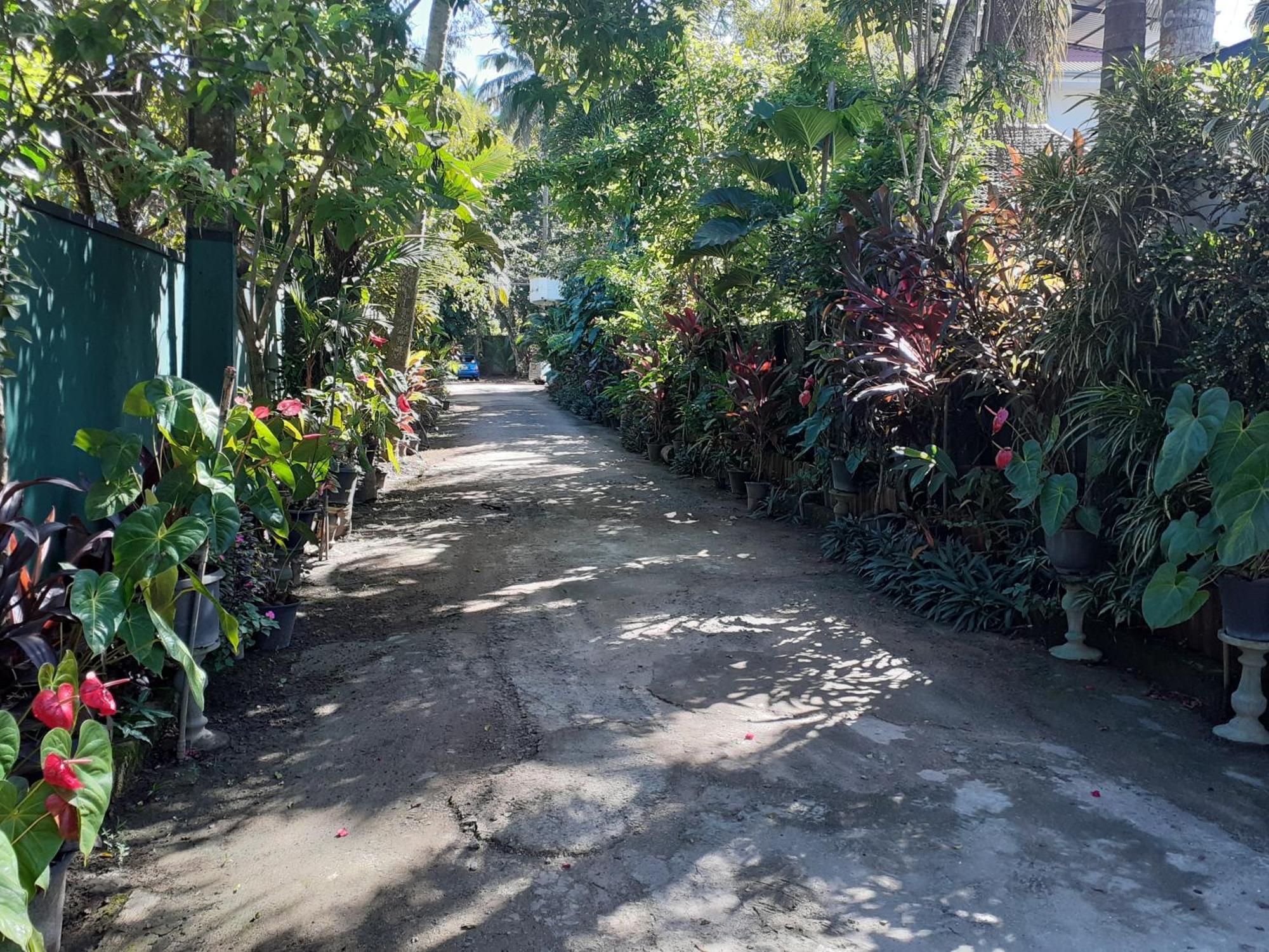 Nooit Gedacht Holiday Resort Unawatuna Eksteriør billede