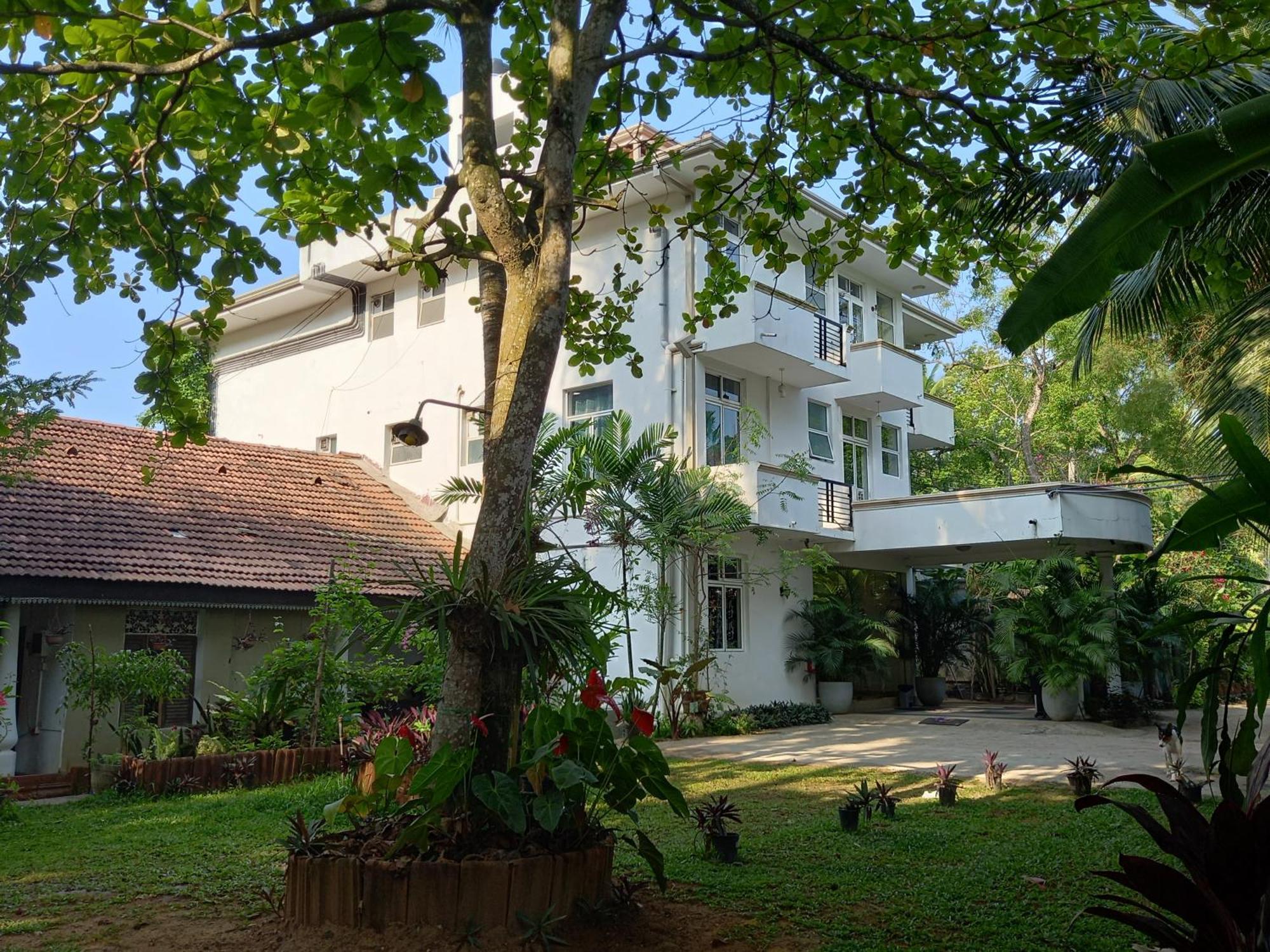 Nooit Gedacht Holiday Resort Unawatuna Eksteriør billede