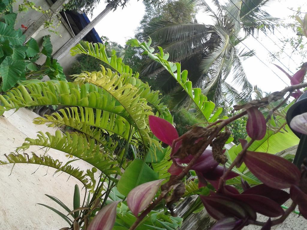 Nooit Gedacht Holiday Resort Unawatuna Eksteriør billede