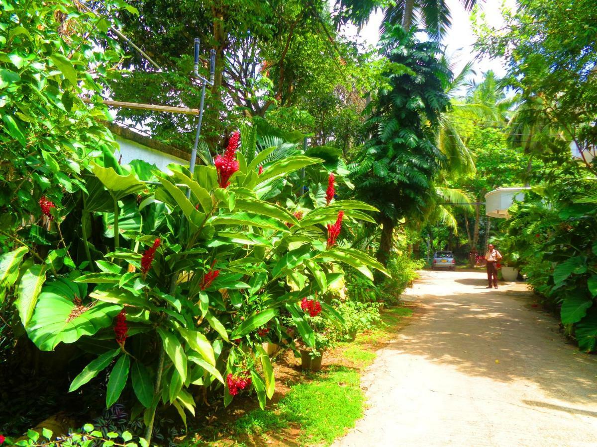 Nooit Gedacht Holiday Resort Unawatuna Eksteriør billede