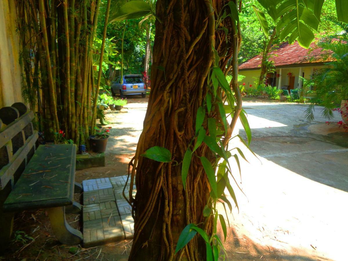 Nooit Gedacht Holiday Resort Unawatuna Eksteriør billede